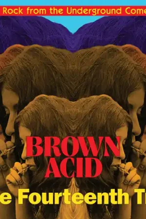 Fast Shipping Brown Acid - Fourteenth Trip (Various Artists)