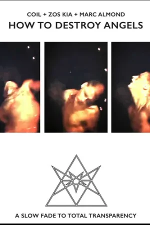 How To Destroy Angels Order Now