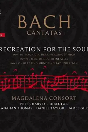 Recreation for the Soul Brand New
