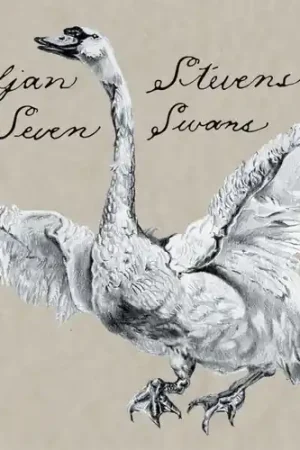 Seven Swans Latest
